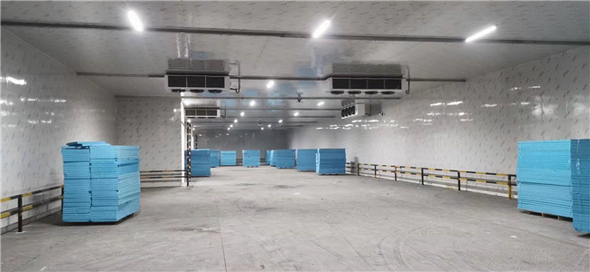 水果保鲜冷库建造