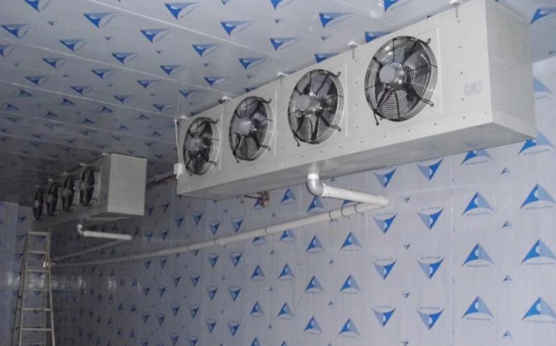 海鲜冷冻库建造