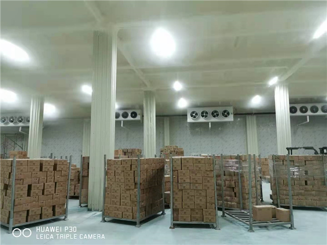 药品冷库建造工程