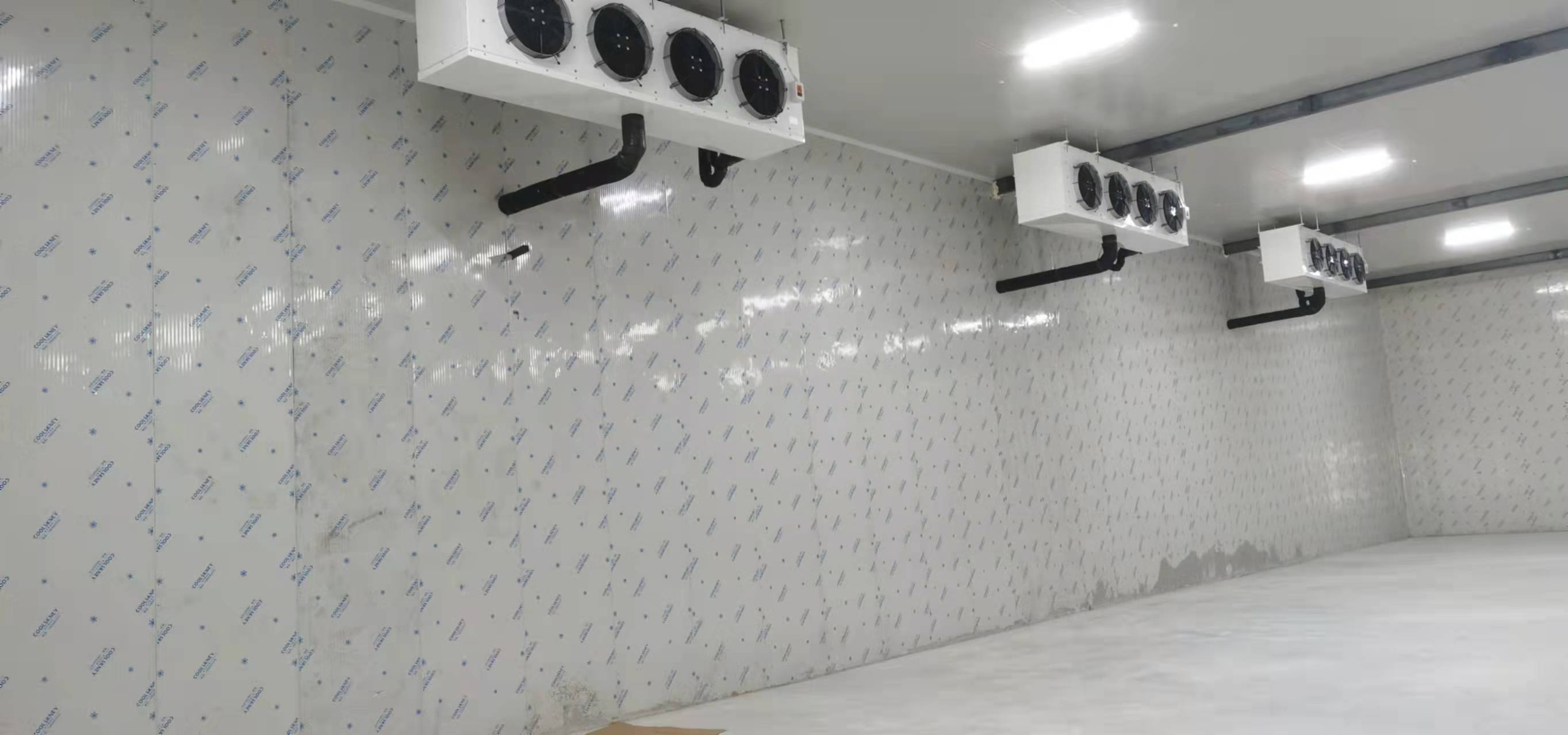 小型肉类速冻库建造