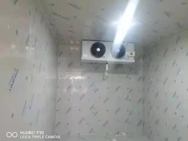 广州白云区海鲜冷冻库安装工程