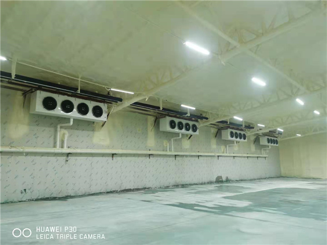 水果连锁批发店冷库费用十分贵，广州花都厂家定制西瓜冷库方案